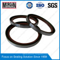 NBR/FKM Tb/BS Type Outer Skeleton Double Lips Oil Seal